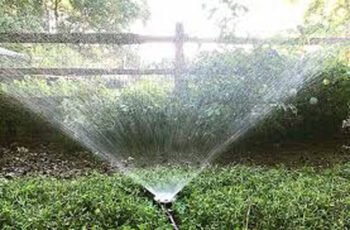 10 Best Garden Watering Sets in India 2022